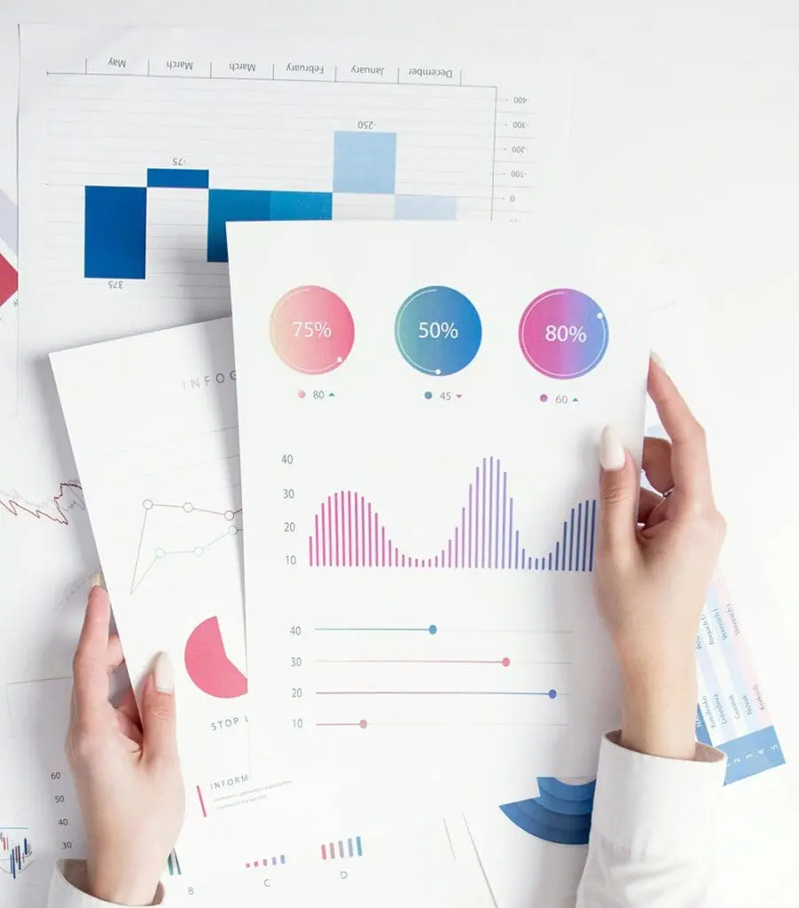 accounting software report