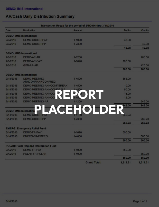 accounting report placeholder